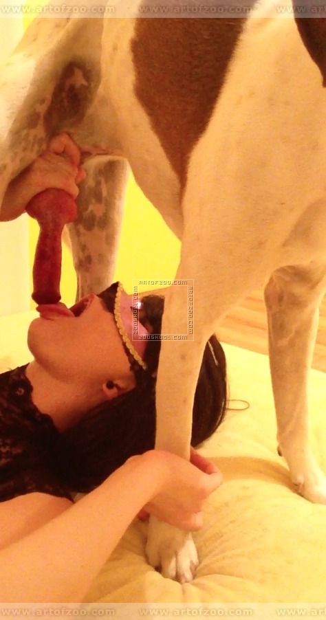 beastiality amateur 