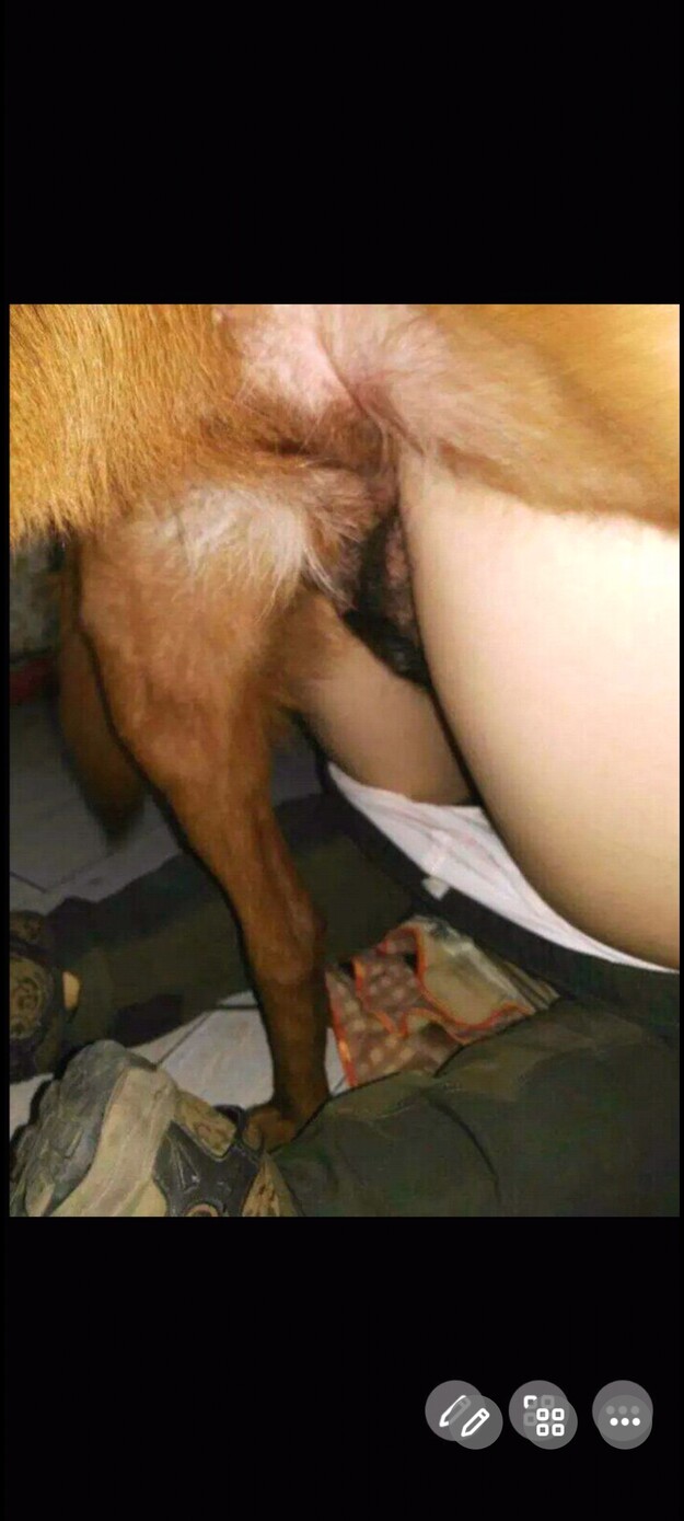 国内人兽交真实145部，qq2645926416-照片18360-BestialitySexTaboo - Bestiality Sex Taboo