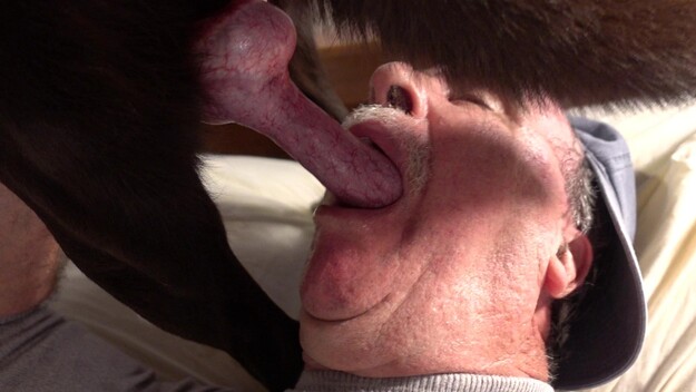Man Cums In Dog