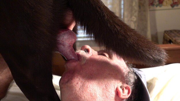 Man Cums In Dog