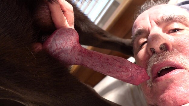 Man Cums In Dog