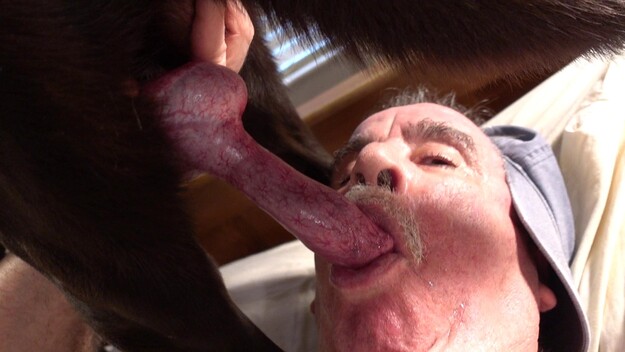 Man Cums In Dog
