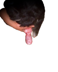 album-cover