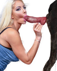 album-cover