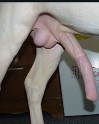 album-cover