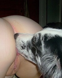 Wow Pussy Lick