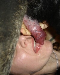 photo-thumb