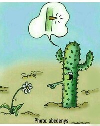 photo-thumb