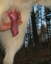 photo-thumb
