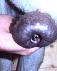 photo-thumb