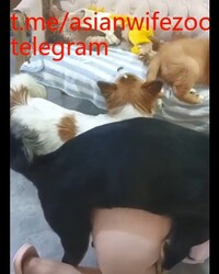 album-cover