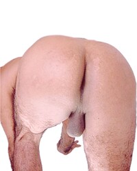 album-cover