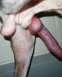 photo-thumb