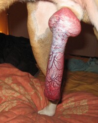 photo-thumb