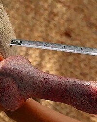 photo-thumb