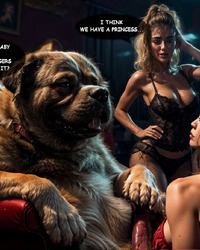 album-cover