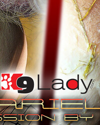album-cover