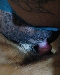 album-cover