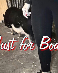 album-cover