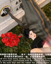 album-cover