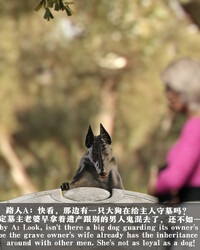 album-cover