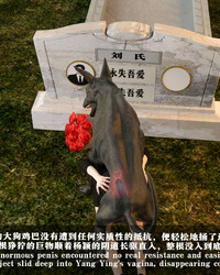 album-cover