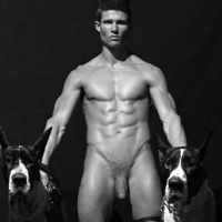 querocaoblm的化身