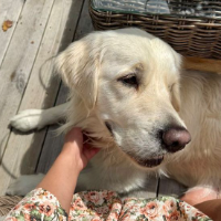 elizabeth2468的化身