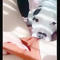 Dogtonguelover的化身