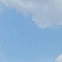 preggobyhorse Avatar