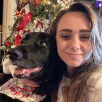 DogBestilatyTG Avatar