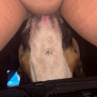 tattoobicouple Avatar