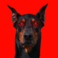 Noroskall19935 Avatar