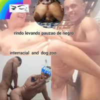 caruavaquinhalovenetin Avatar