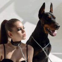 MasterShewon的化身