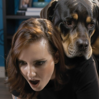 Here4DogSluts Avatar