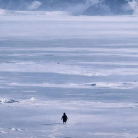 pamonhadoce062的化身