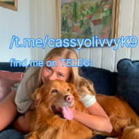 K9cassy Avatar