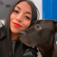 cassybeastiality的化身