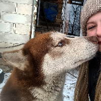 Qwe1234567890的化身