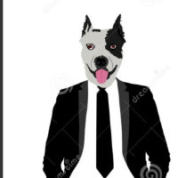 perrote67 Avatar