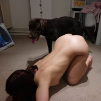 bright_emily的化身