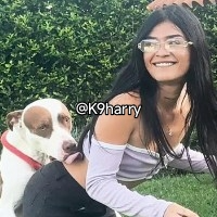 k9harry的化身