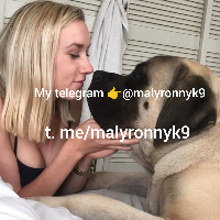zooluJ Avatar
