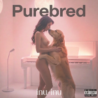 inu-inu Avatar