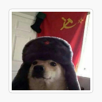 zackyv的化身