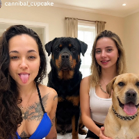 K9forall Avatar