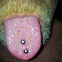 mrkinky6977 Avatar