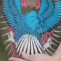 porron的化身