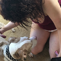 furluv Avatar